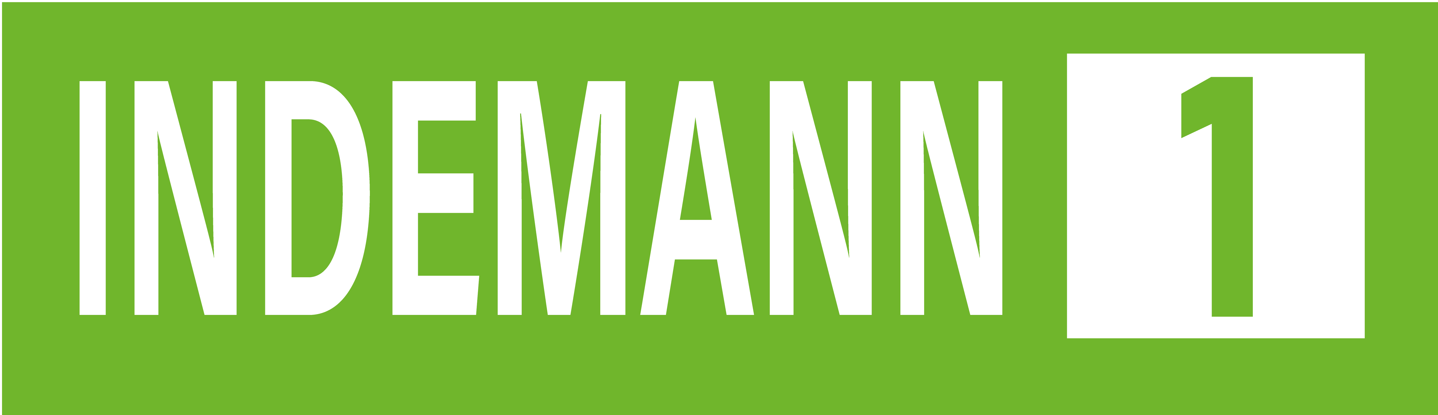 Logo Indemann1